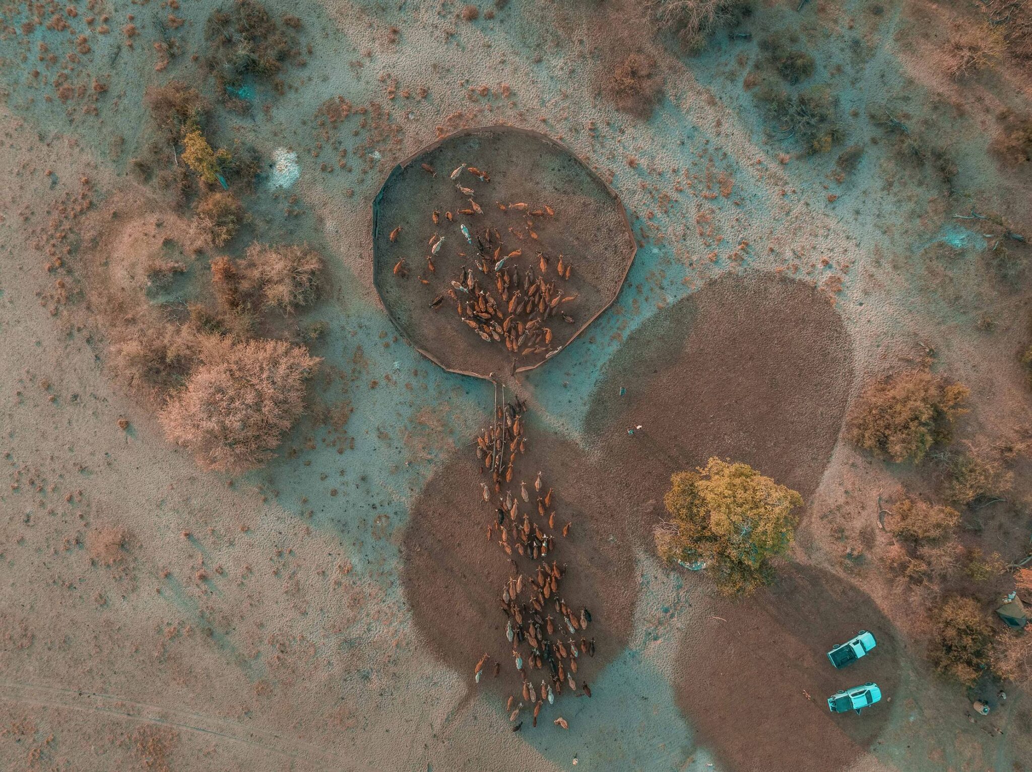 EarthShot_Botswana_Andy_Dr Andrew_0558