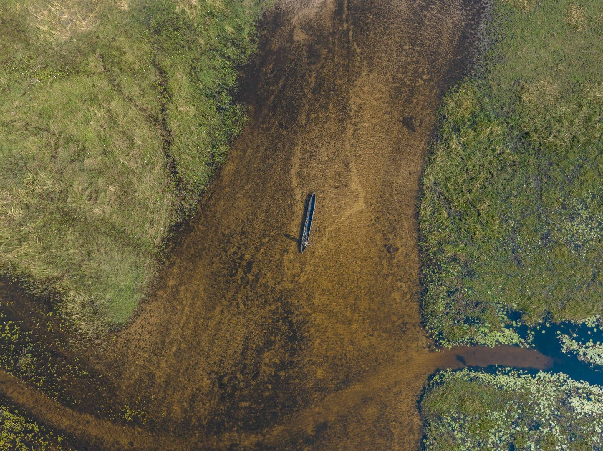 EarthShot_Botswana_Andy_Dr Andrew_0610