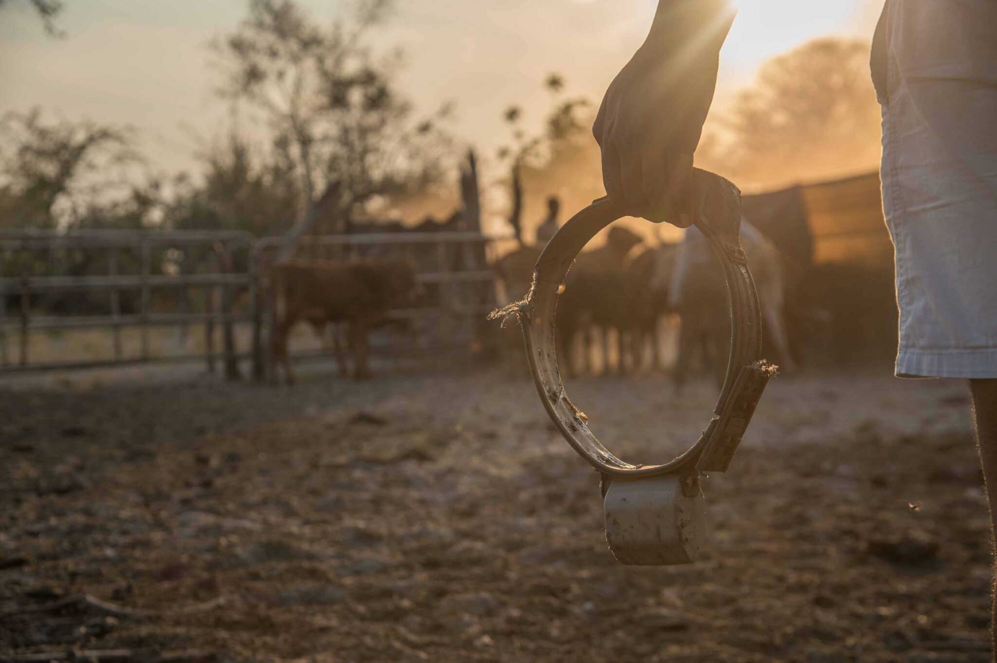 EarthShot_Botswana_Andy_Dr Andrew_9737