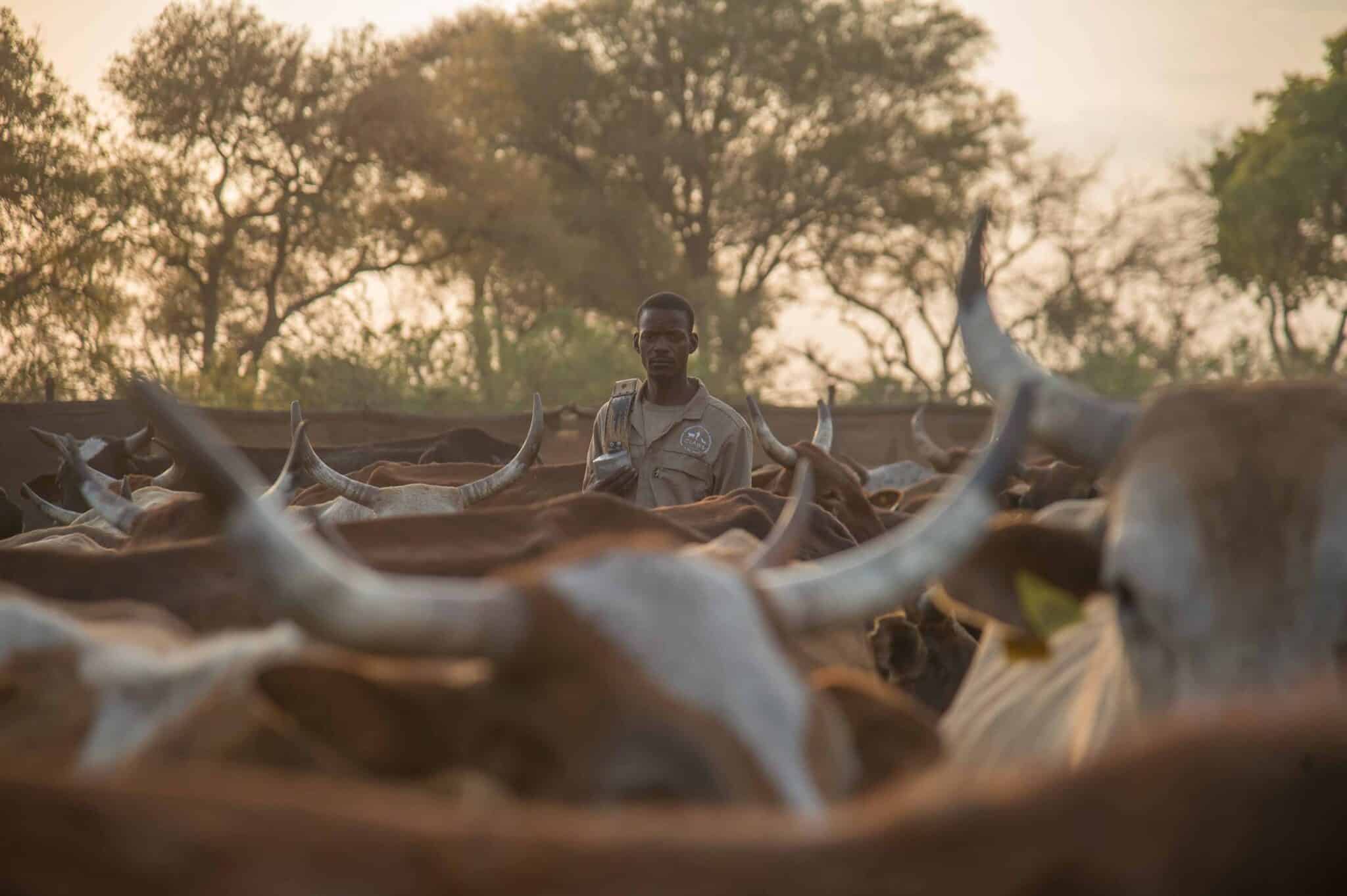 EarthShot_Botswana_Andy_Dr Andrew_9806