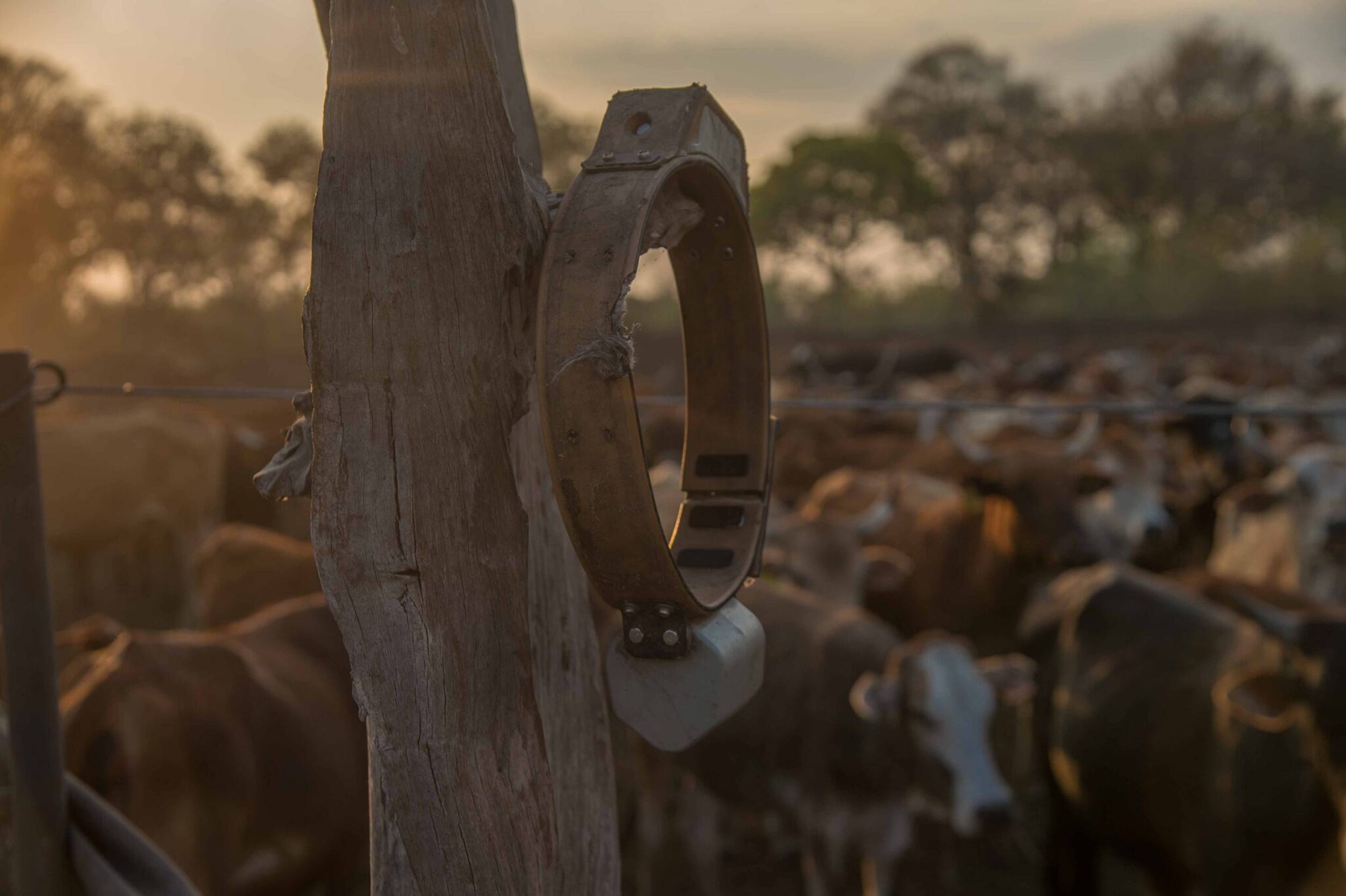 EarthShot_Botswana_Andy_Dr Andrew_9837