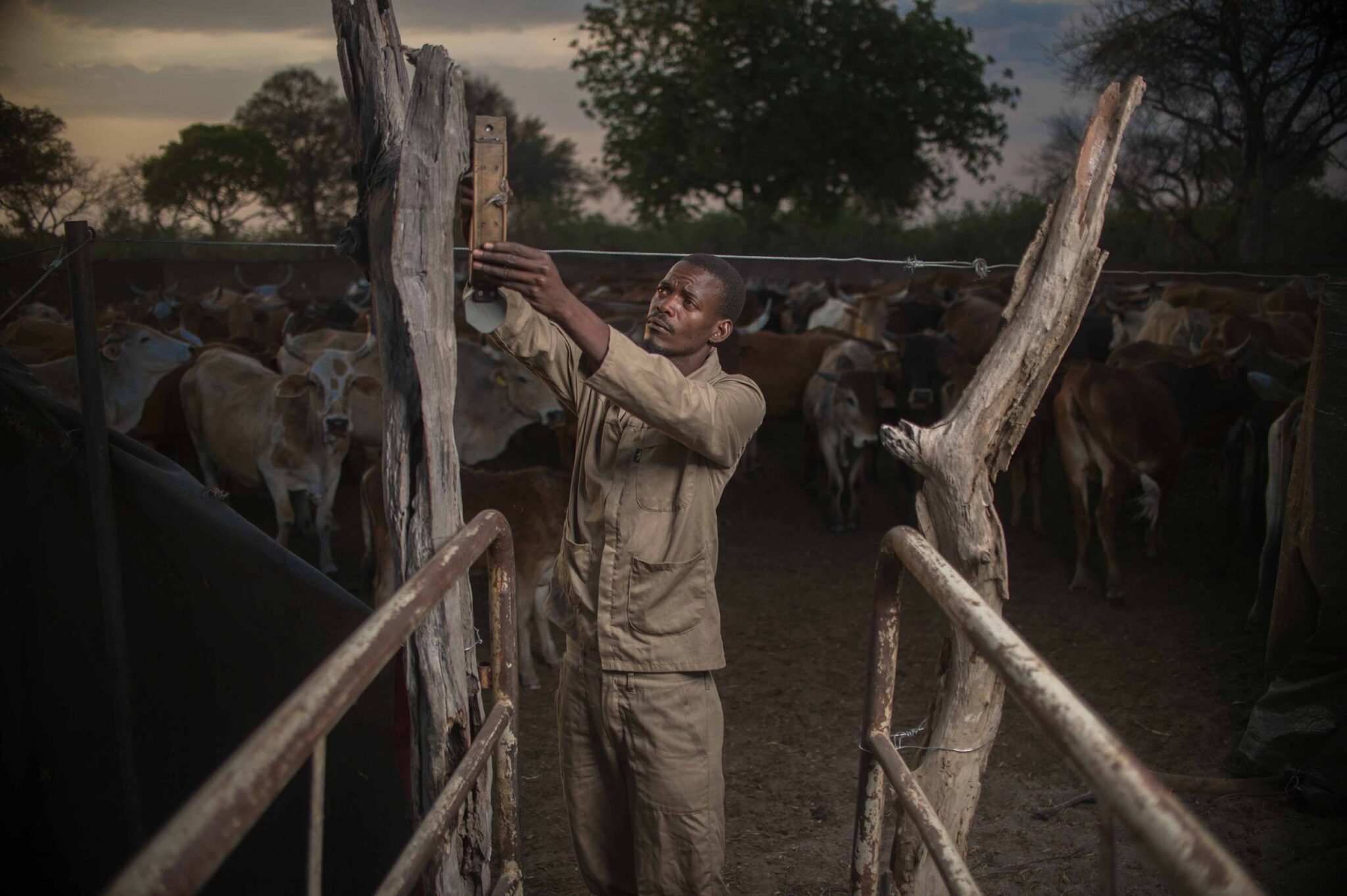 EarthShot_Botswana_Andy_Dr Andrew_9908