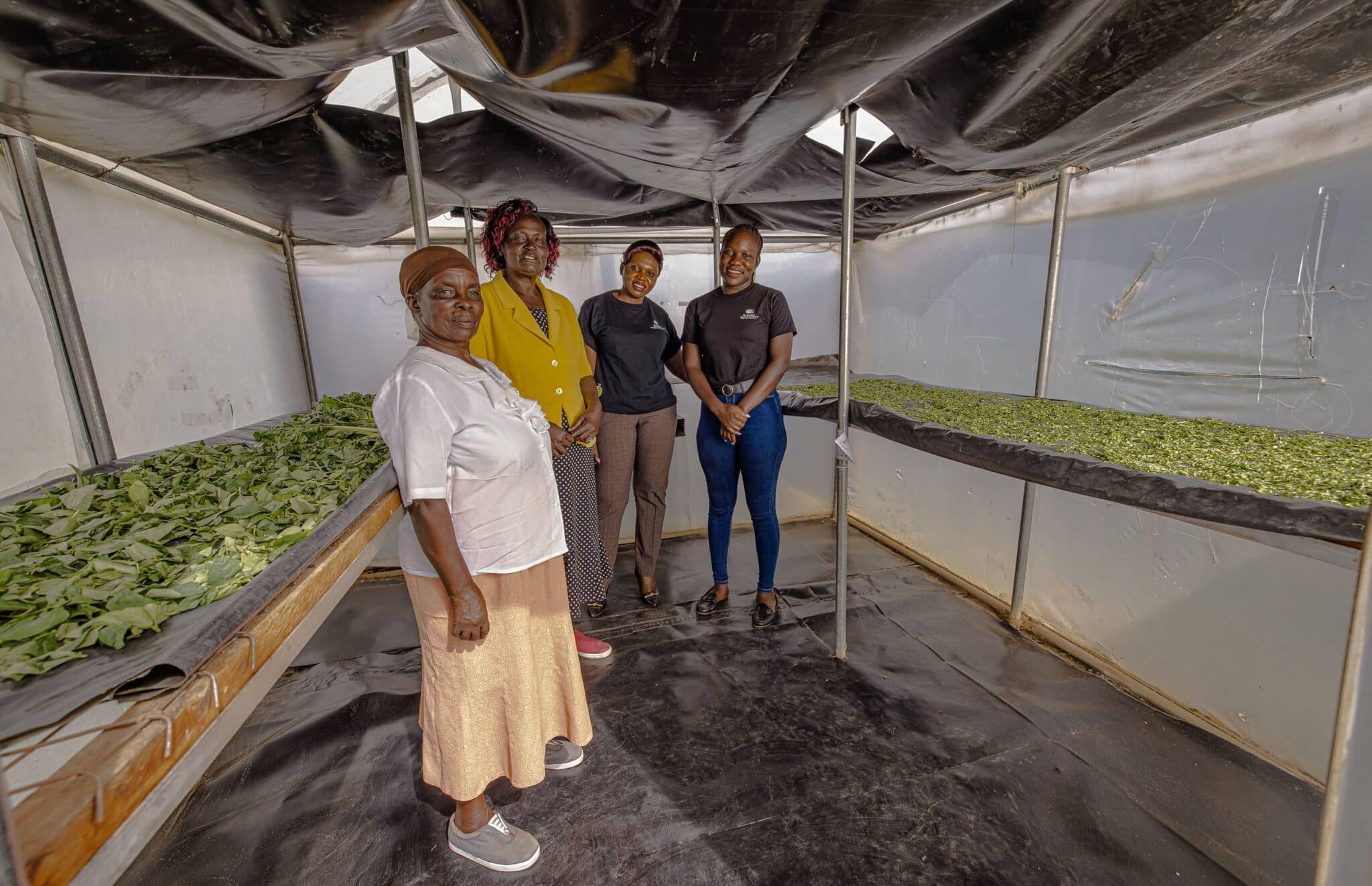 EarthShot_Kenya_RONNY_ONKEO_E-safiri_Team at AWUOTH 2