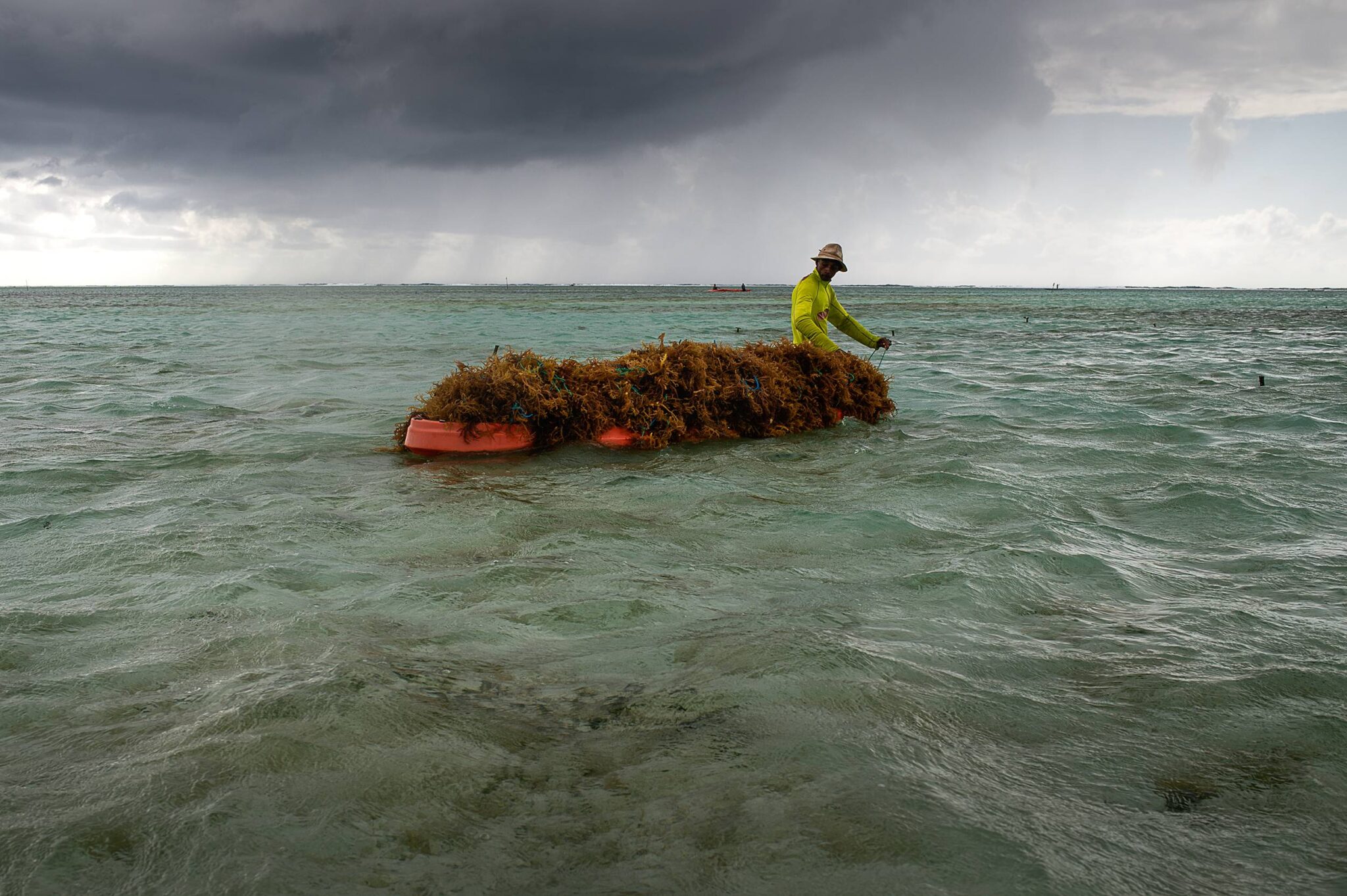 EarthShot_Madagascar_Viviane Rakotoarivony_ Ocean Farmers_-11