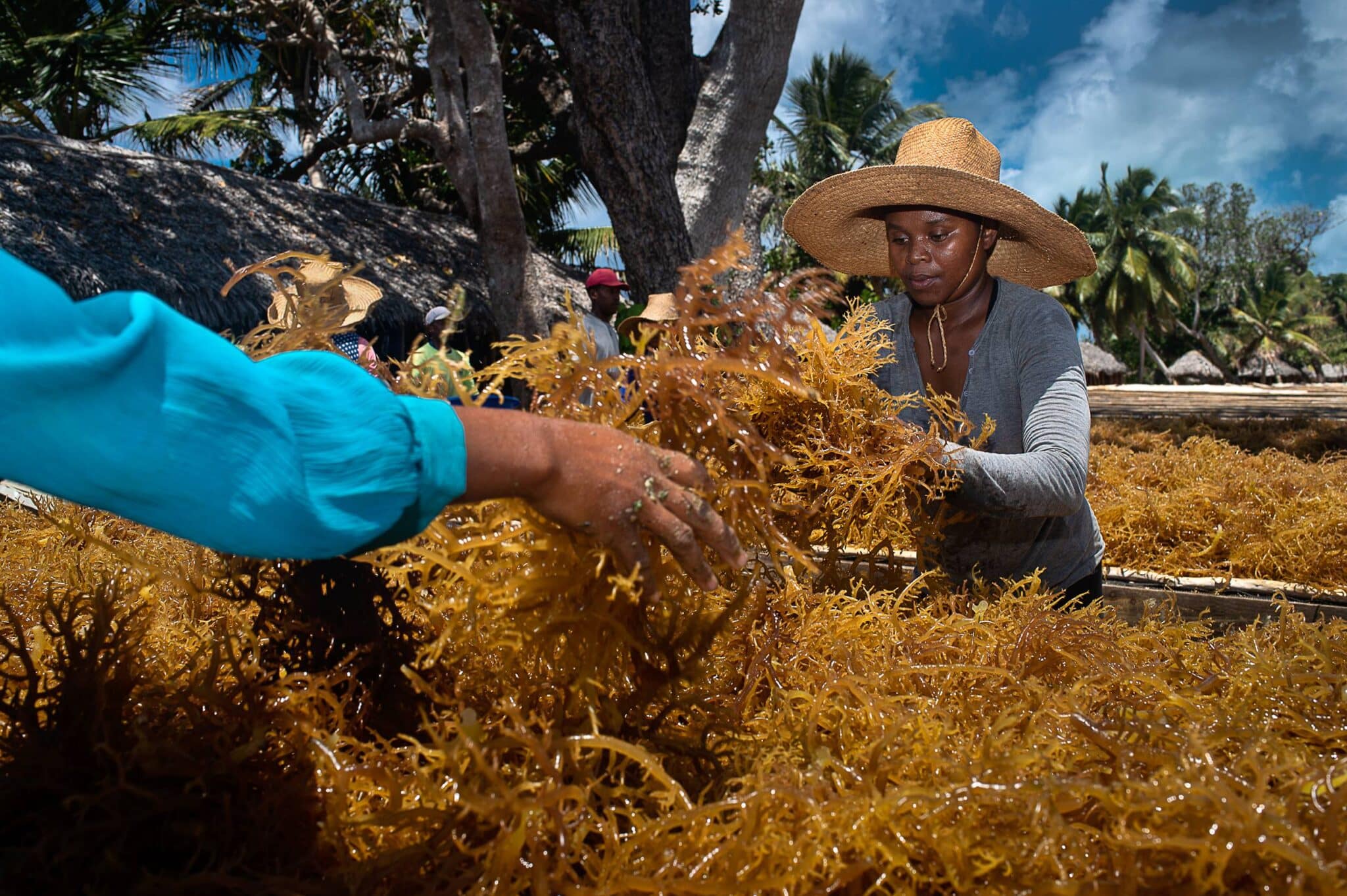 EarthShot_Madagascar_Viviane Rakotoarivony_ Ocean Farmers_-13