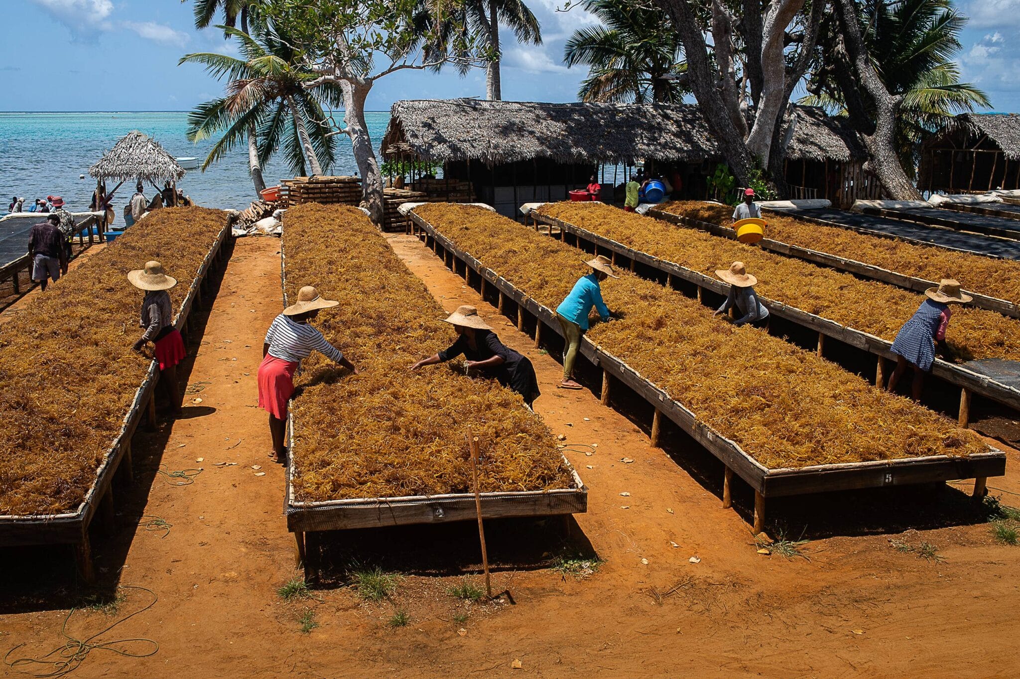 EarthShot_Madagascar_Viviane Rakotoarivony_ Ocean Farmers_-14