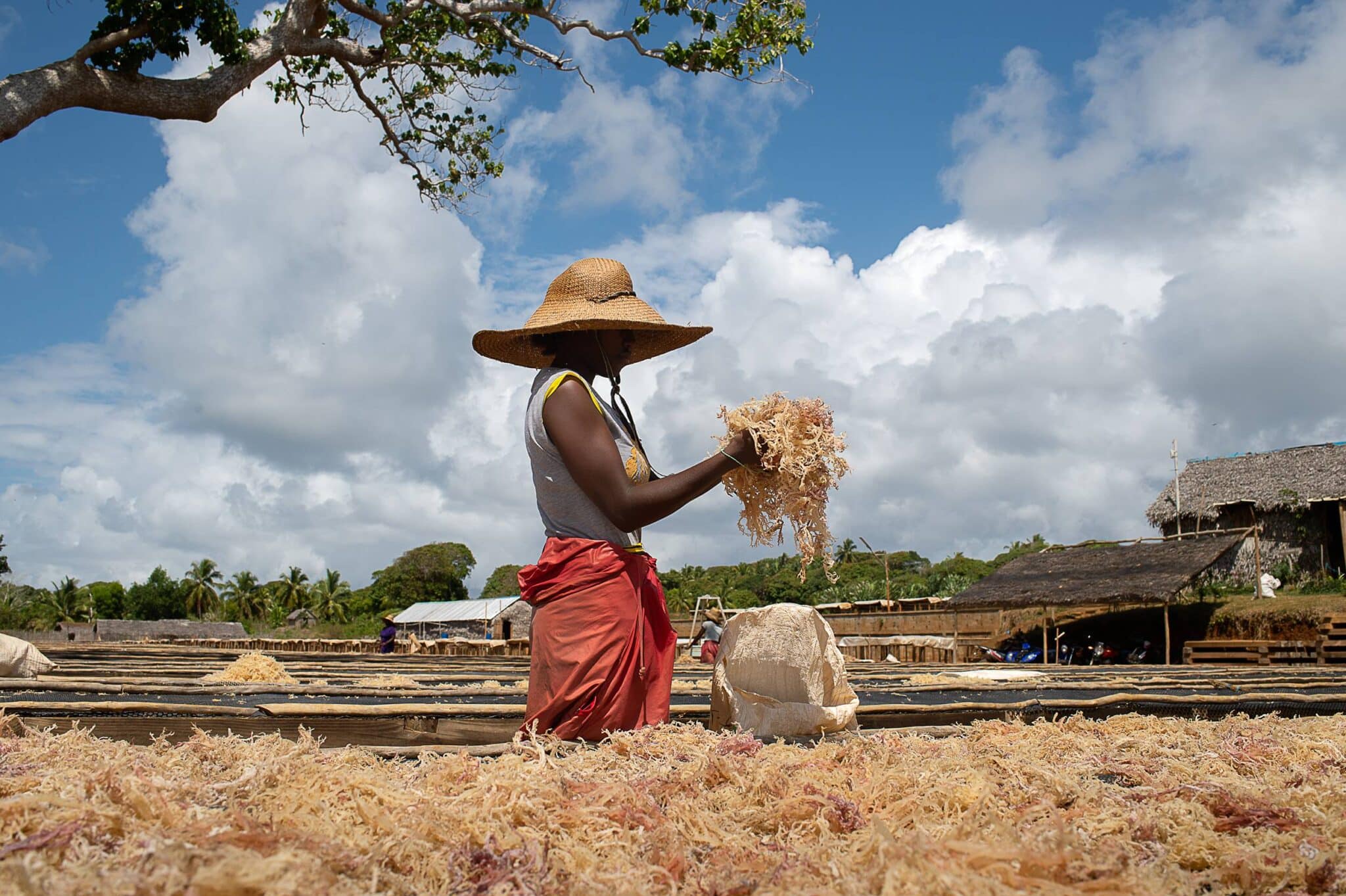 EarthShot_Madagascar_Viviane Rakotoarivony_ Ocean Farmers_-2