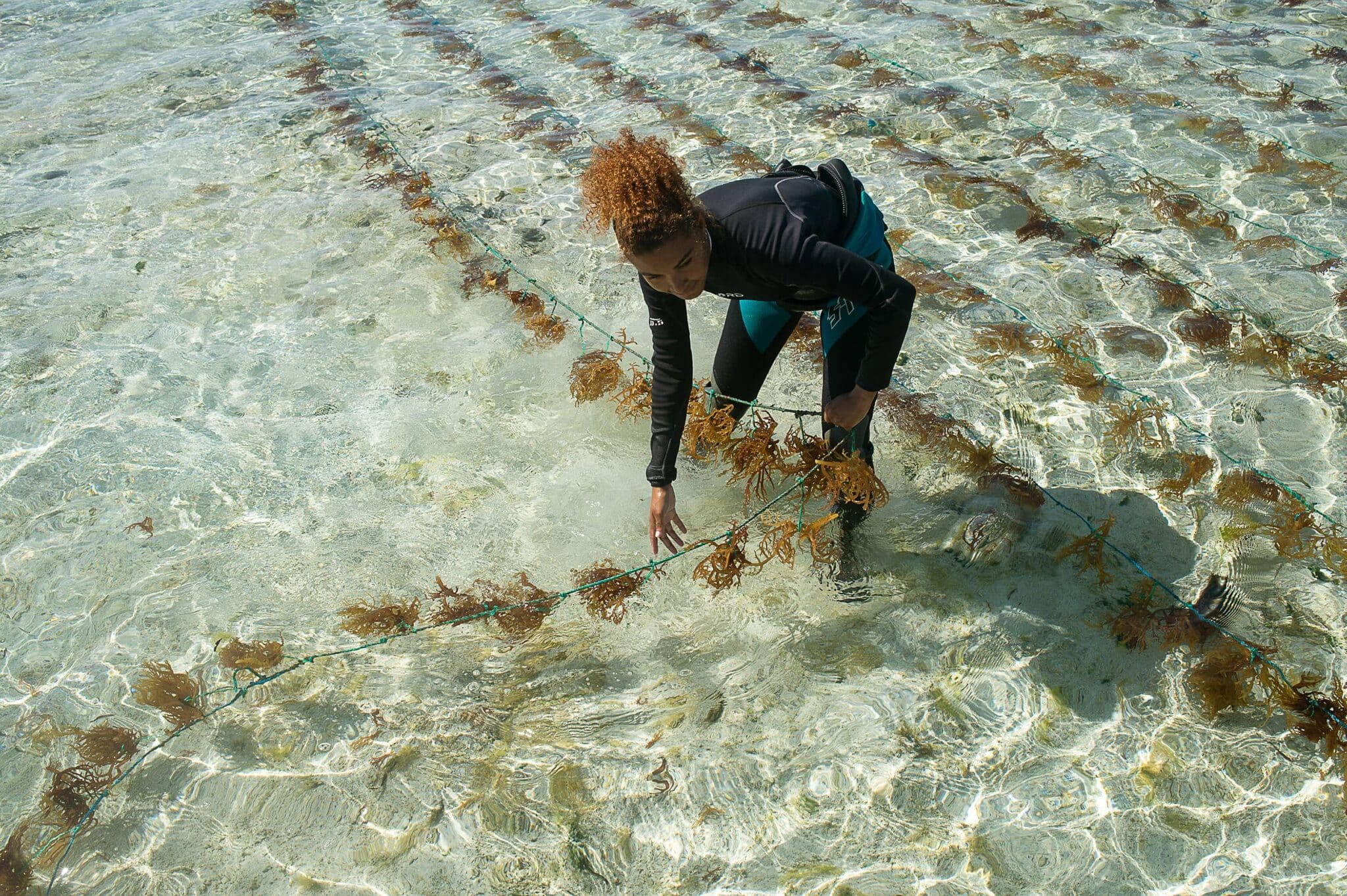 EarthShot_Madagascar_Viviane Rakotoarivony_ Ocean Farmers_-9