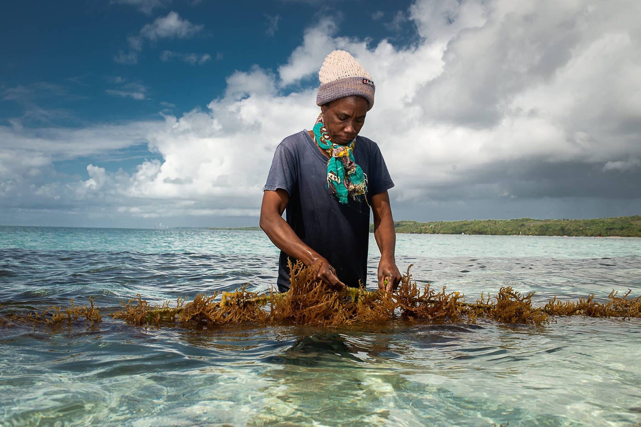 EarthShot_Madagascar_Viviane Rakotoarivony_ Ocean Farmers_15