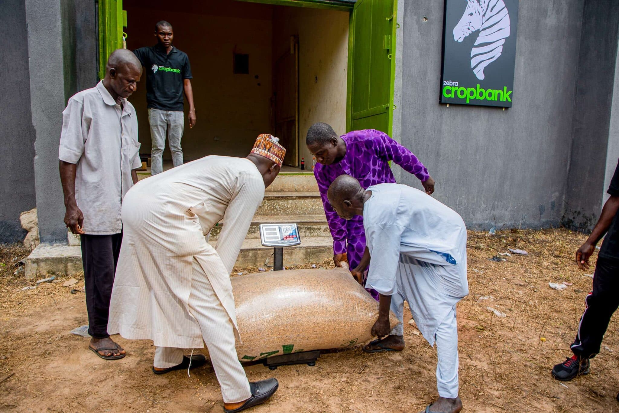 EarthShot_Nigeria_Rukaiya Ibrahim_Zebra CropBank-5