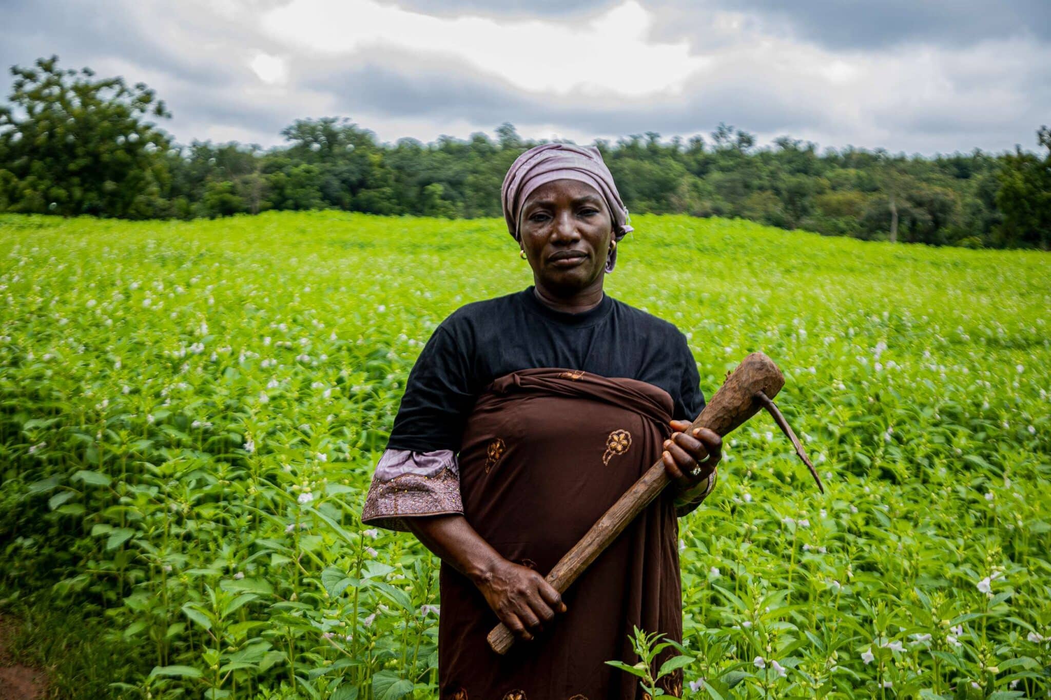 EarthShot_Nigeria_Rukaiya Ibrahim_Zebra CropBank-9