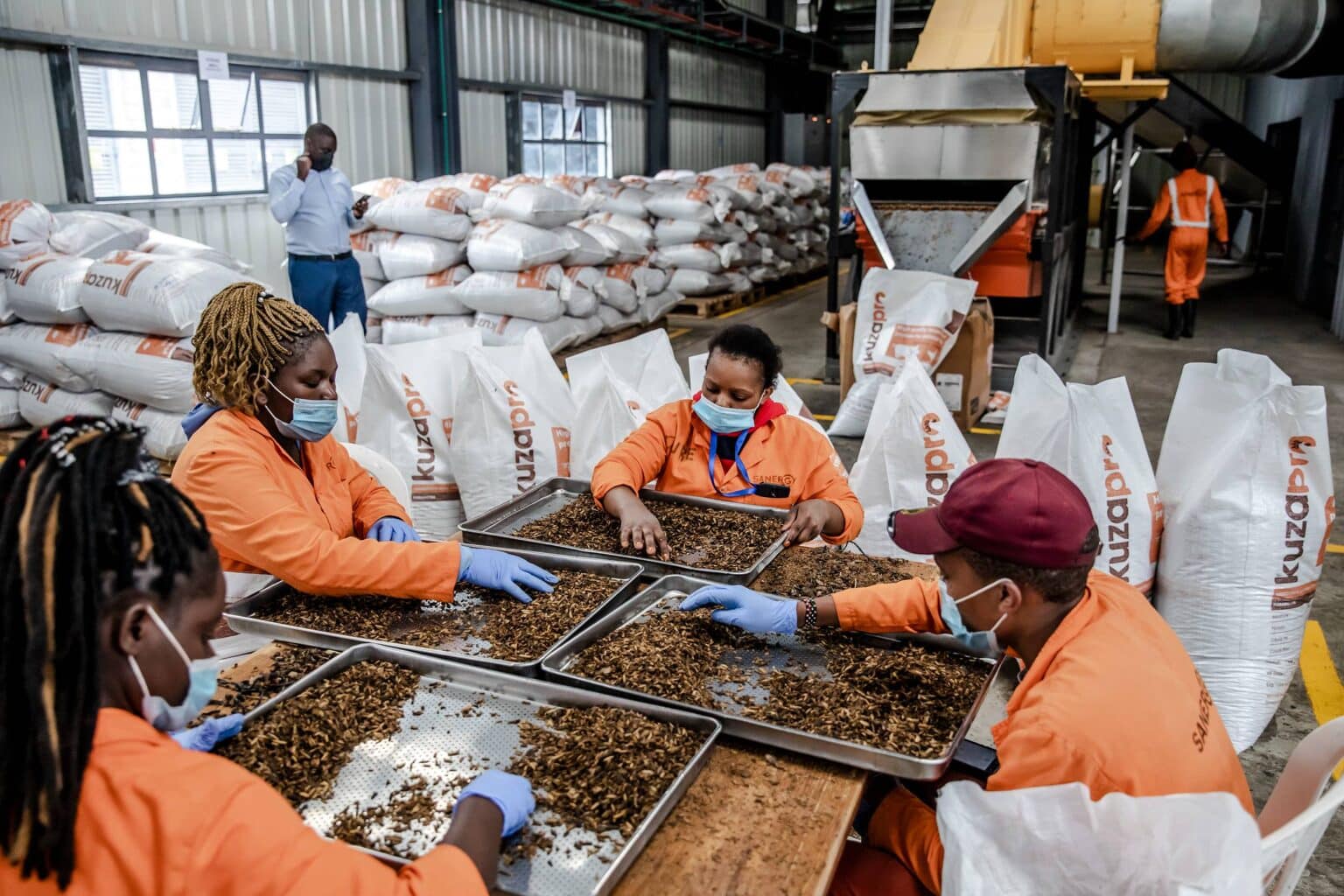 PanosxSanergy_LT_0027